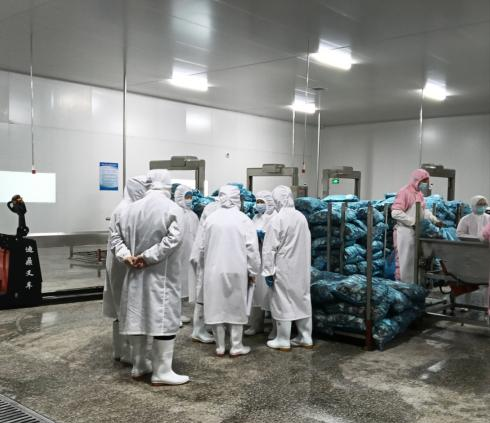 泰國TEE客戶到訪隆鑫健達(dá)分公司進(jìn)行驗(yàn)廠